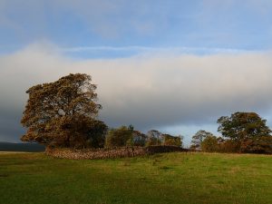 Back Pasture Hill – Wild Camp #003