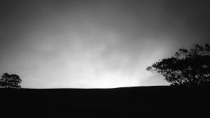 Back Pasture Hill – Wild Camp #003