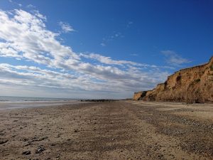 Barmston I - 2017