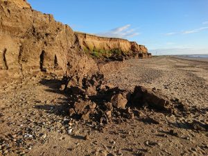 Barmston I - 2017