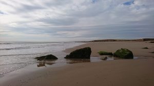Barmston I - 2017