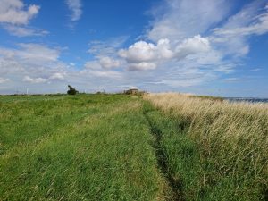 Barmston I - 2017