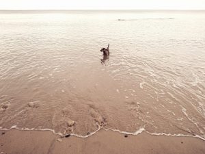 Barmston II - 2017