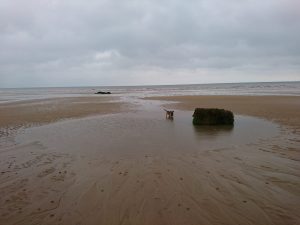 Barmston II - 2017