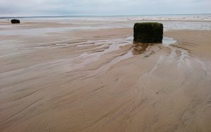 Barmston II - 2017