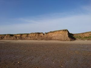 Barmston II - 2017