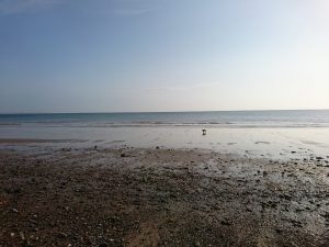 Barmston II - 2017