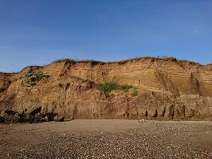 Barmston II - 2017