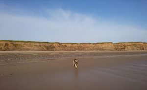 Barmston II - 2017