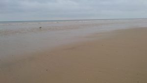 Barmston II - 2017