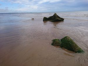 Barmston II - 2017