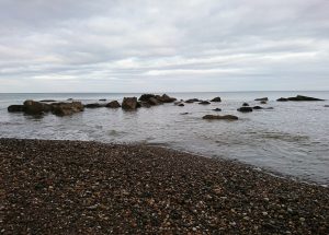 Barmston II - 2017