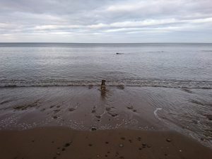 Barmston II - 2017
