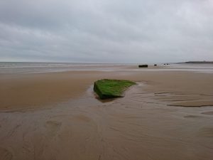Barmston II - 2017
