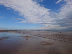 Barmston II - 2017