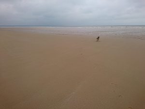 Barmston II - 2017