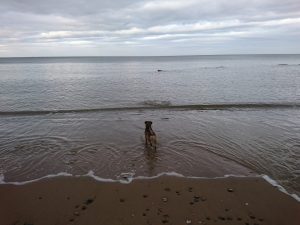 Barmston II - 2017