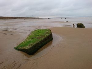 Barmston II - 2017