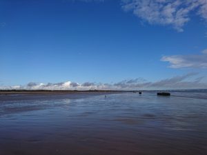 Barmston II - 2017