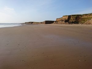 Barmston II - 2017