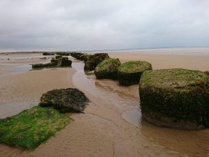 Barmston II - 2017