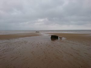 Barmston II - 2017