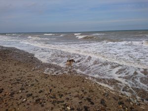 Barmston II - 2017