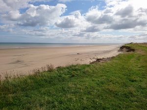 Barmston II - 2017