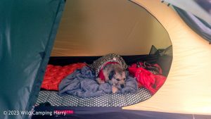 Baugh Fell, Yorkshire Dales – Wild Camp #042