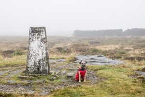 Birks Tarn – Wild Camp #015