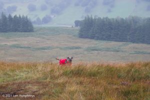 Birks Tarn – Wild Camp #015