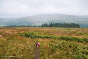 Birks Tarn – Wild Camp #015