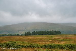 Birks Tarn – Wild Camp #015