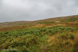 Birks Tarn – Wild Camp #015