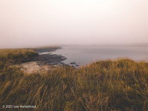 Birks Tarn – Wild Camp #015