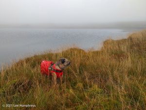 Birks Tarn – Wild Camp #015