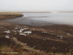 Birks Tarn – Wild Camp #015
