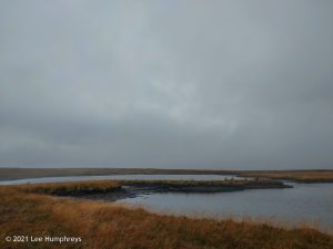 Birks Tarn – Wild Camp #015