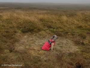 Birks Tarn – Wild Camp #015