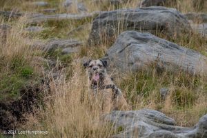 Blackstone Edge