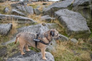 Blackstone Edge