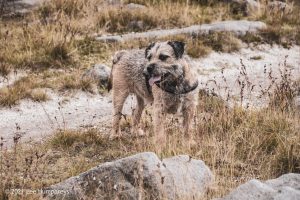 Blackstone Edge