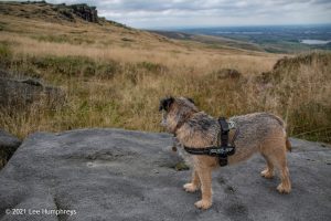 Blackstone Edge