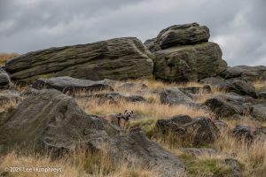 Blackstone Edge