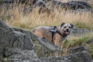Blackstone Edge