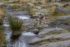 Blackstone Edge