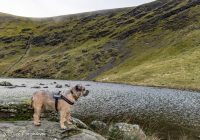 Bowscale Tarn, Lake District – Wild Camp #022