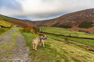Bowscale Tarn, Lake District – Wild Camp #022