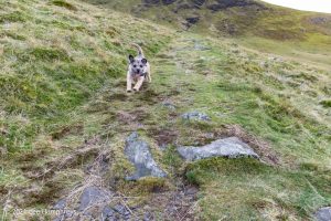 Bowscale Tarn, Lake District – Wild Camp #022