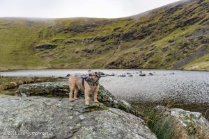 Bowscale Tarn, Lake District – Wild Camp #022